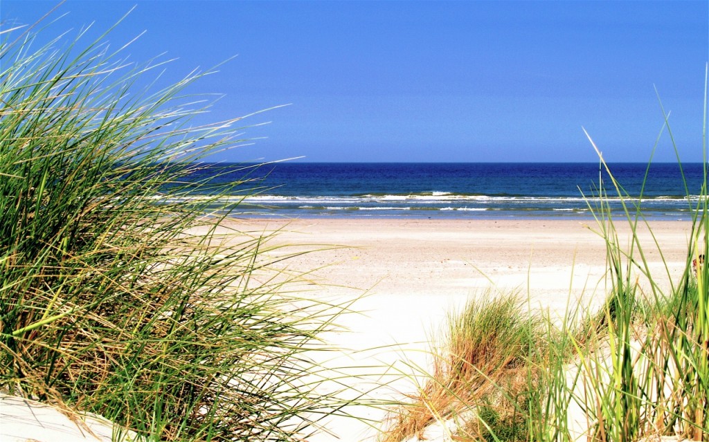 Beach in the Netherlands