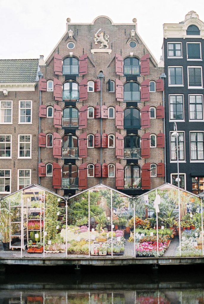 Amsterdam - More Flower Market