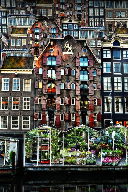 Amsterdam - The Flower Market