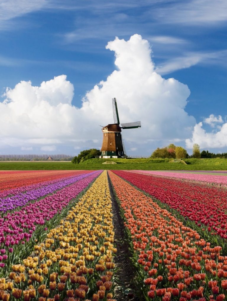 14 Reasons To Visit The Netherlands In Spring Netherlands Tourism