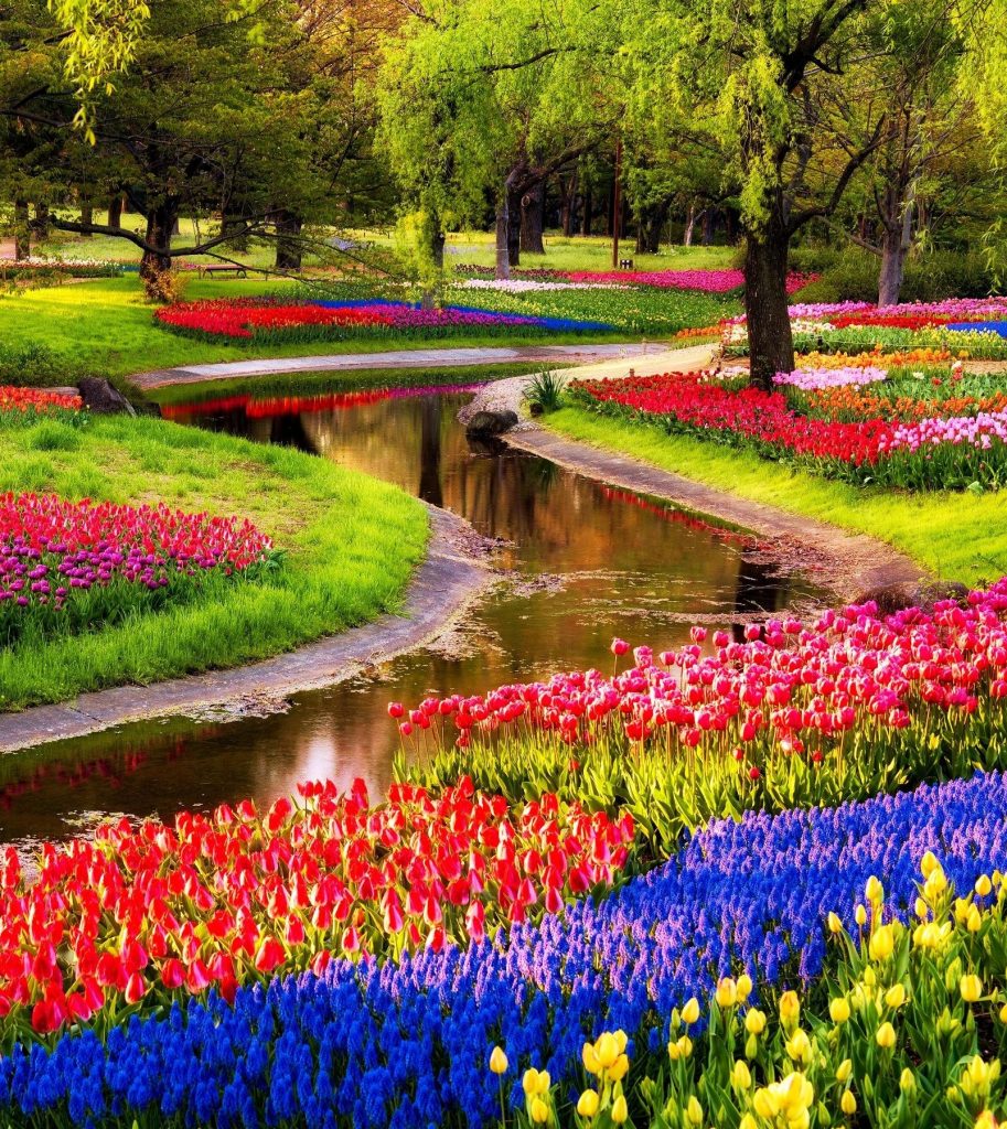 14 Reasons to visit the Netherlands in Spring! - Netherlands Tourism