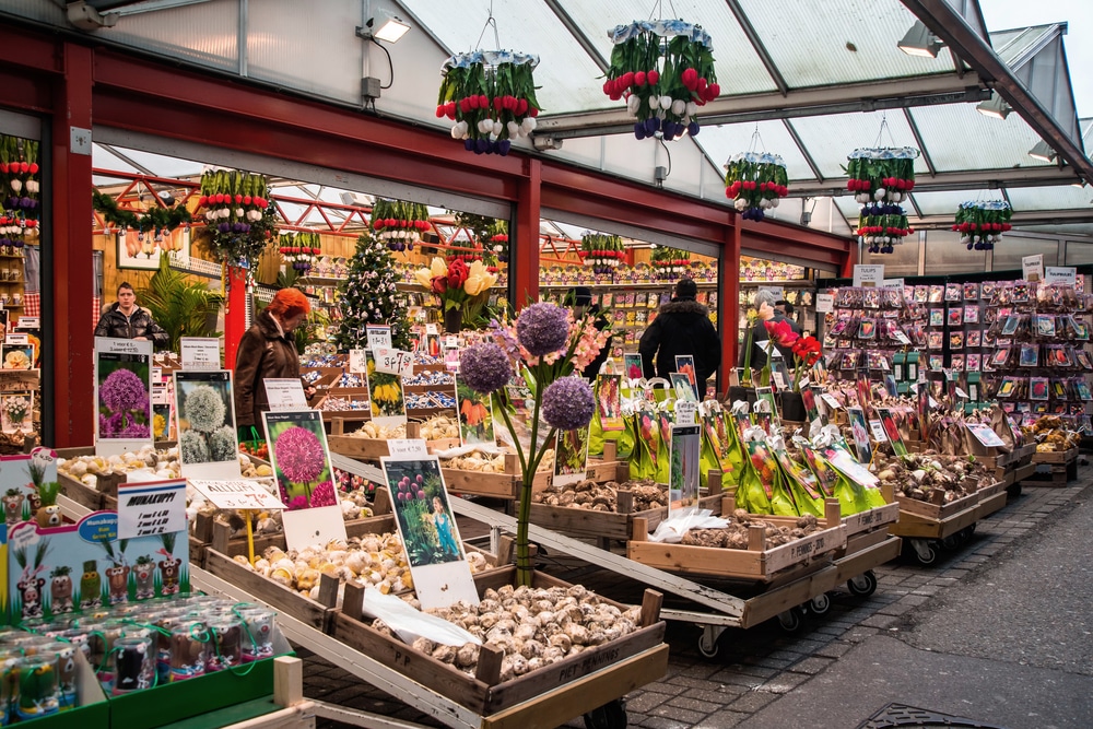 Bloemenmarkt, Amsterdam