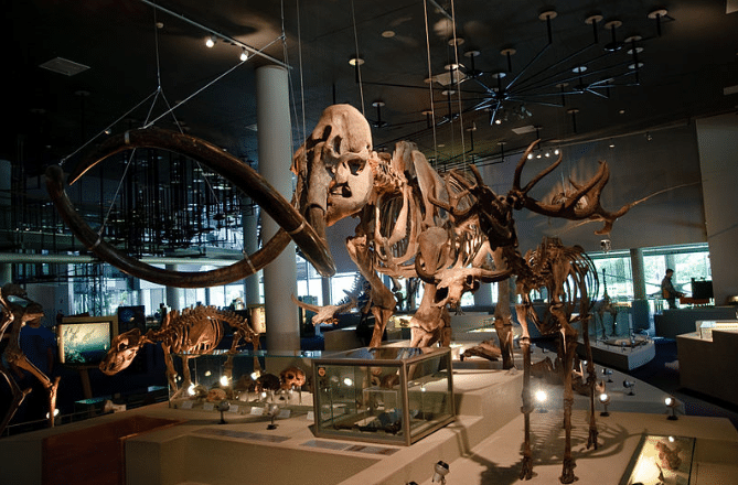 Naturalis Biodiversity Center - inside