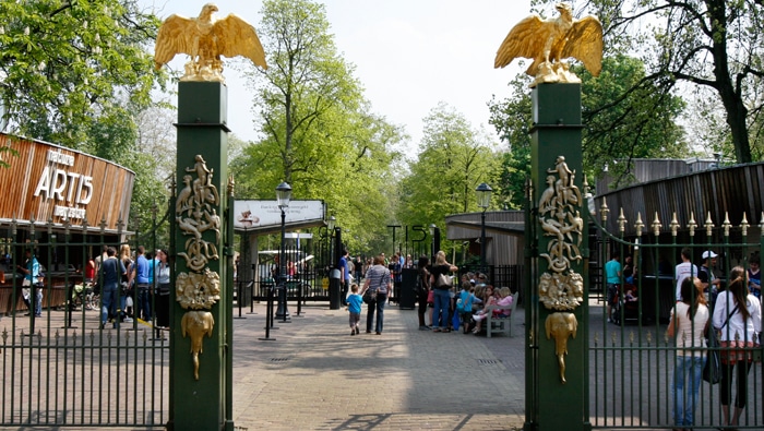 Artis Zoo - Amsterdam