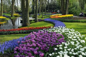 Keukenhof - 4