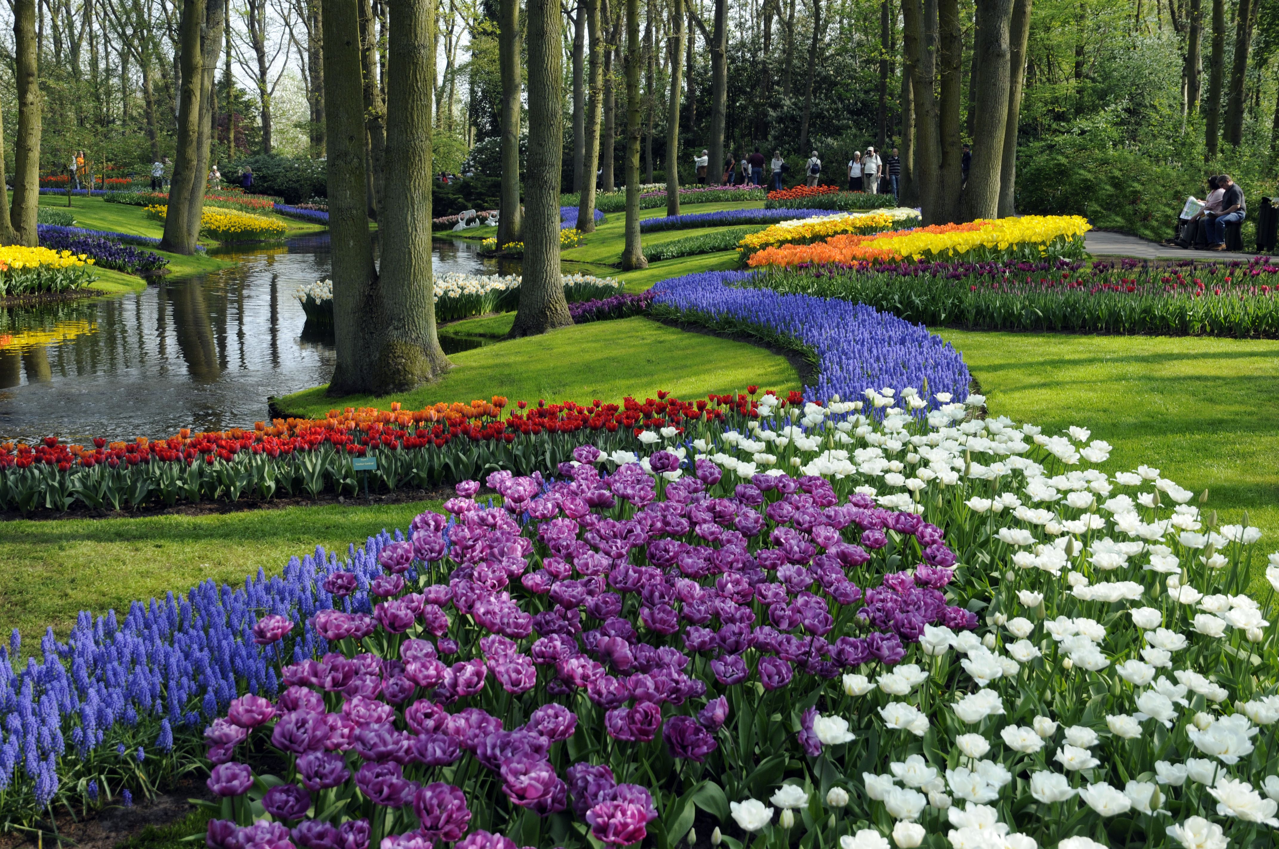 Keukenhof-4.jpg