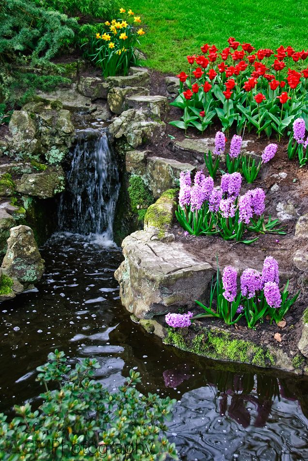 Keukenhof - Water