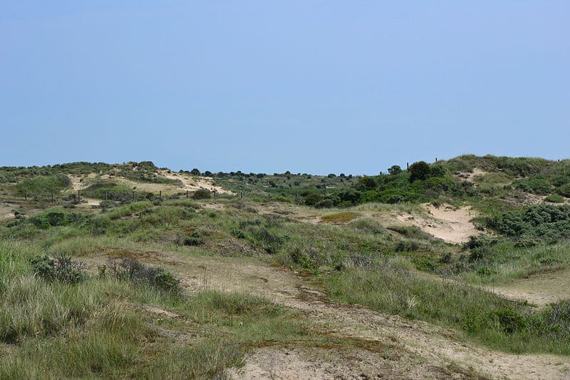 Amsterdamse Waterleidingduinen 2