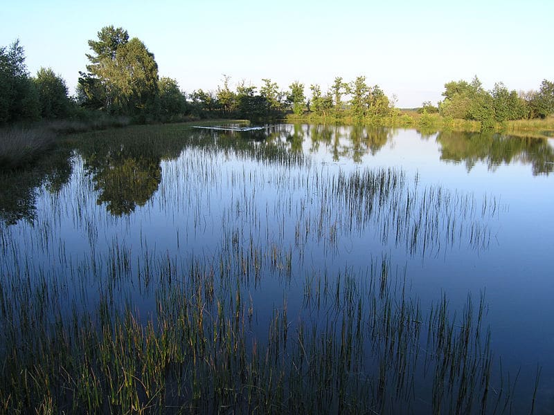 Nationale Park de Hoge Veluwe