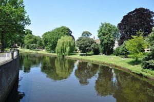 Zwolle - Potgieterssingel