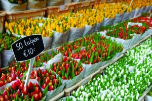 Amsterdam Flower Market