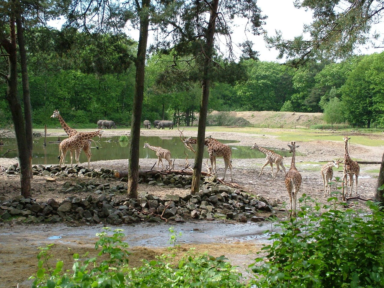 burgers zoo safari