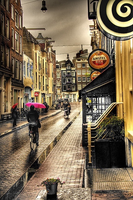 Amsterdam - Biking with pink umbrella