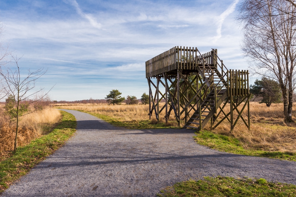 De Groote Peel National Park