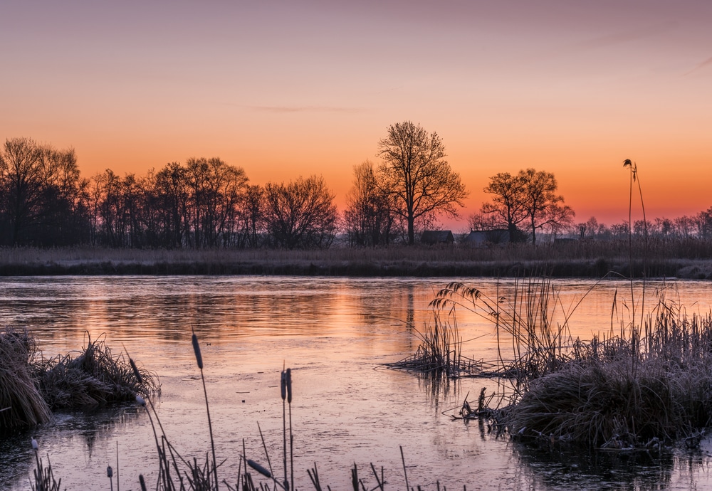 De Weerribben-Wieden National Park