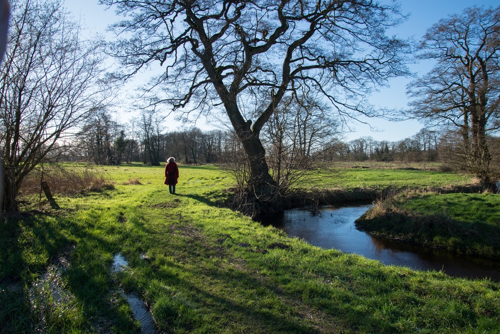 Drentsche Aa National Park