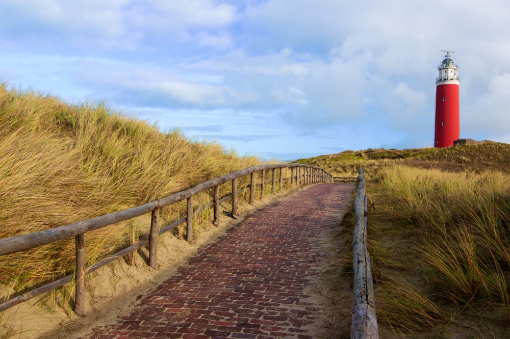 Dunes of Texel National Park