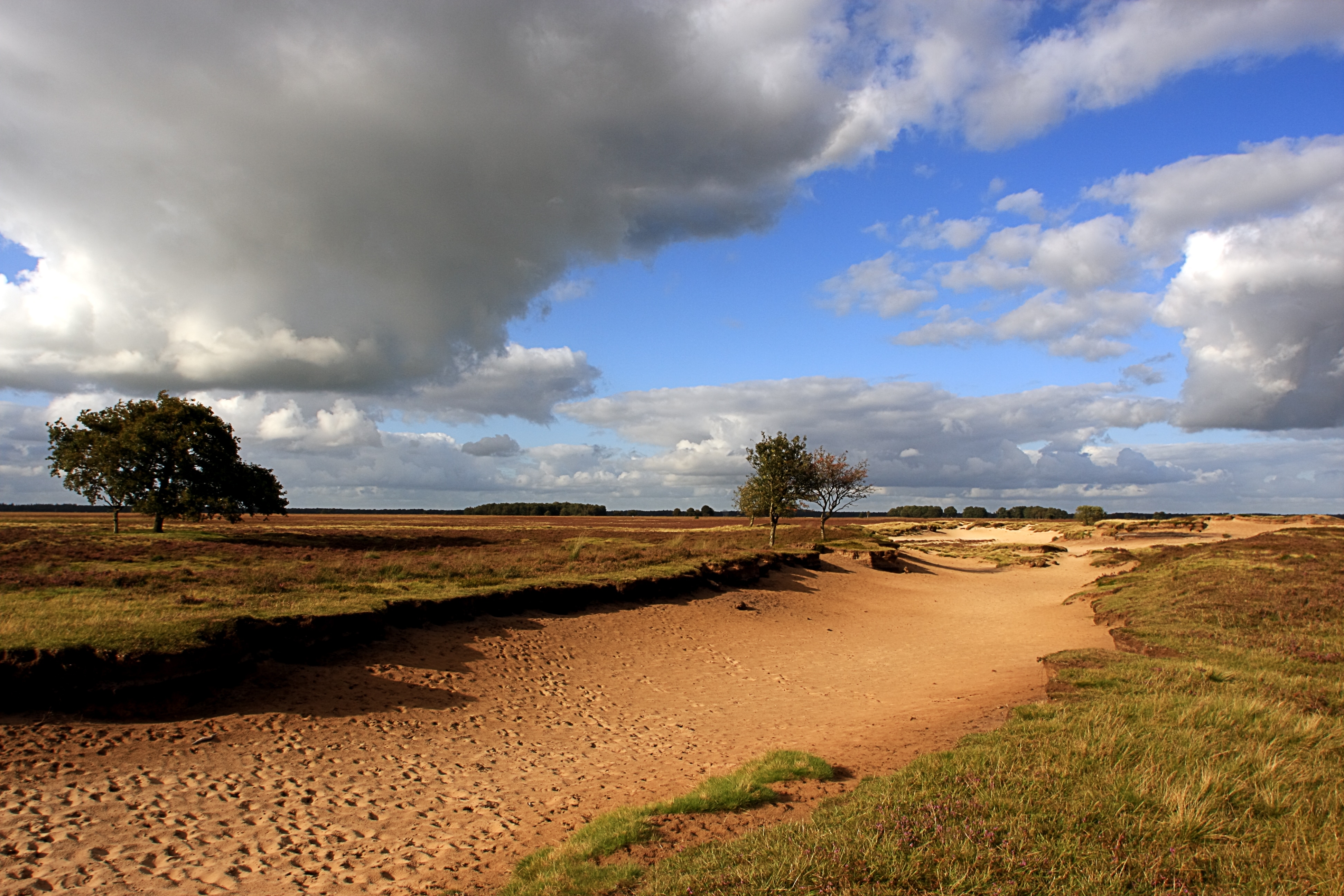 Dwingelderveld National Park