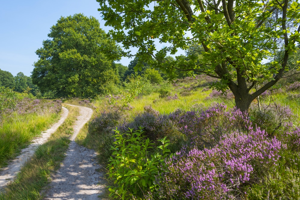 Meinweg National Park