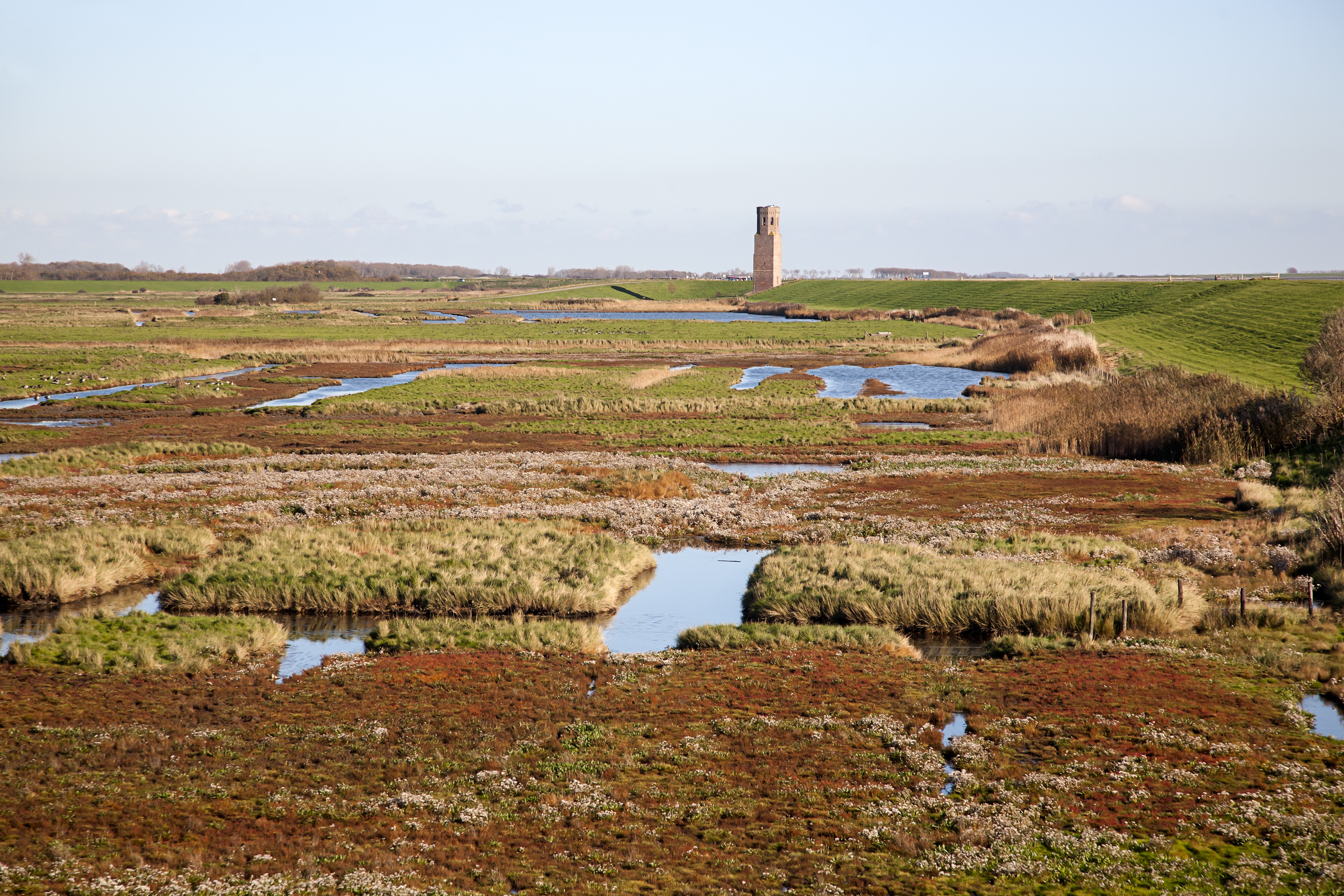 Oosterschelde National Park