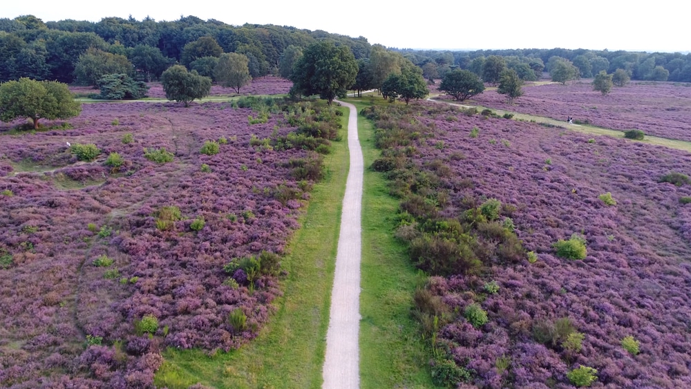 Sallandse Heuvelrug National Park