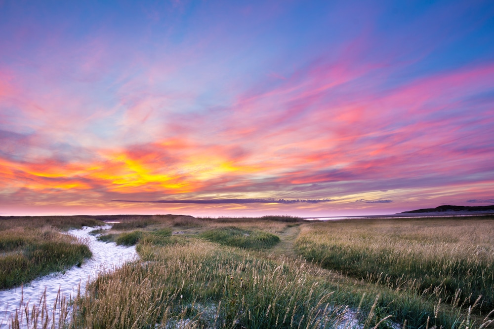 Schiermonnikoog National Park